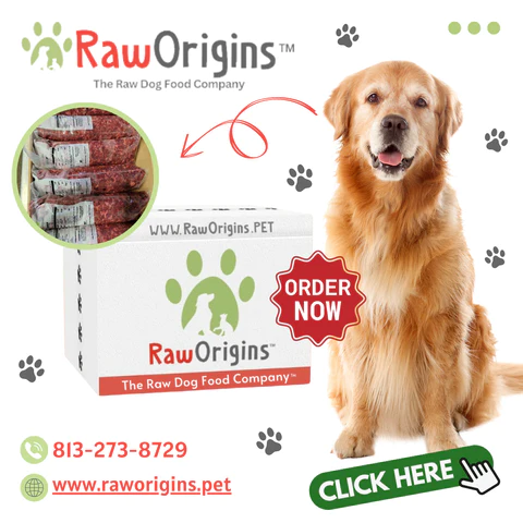 Benefits of Diatomaceous Earth for Dogs Raw Origins Raw Origins