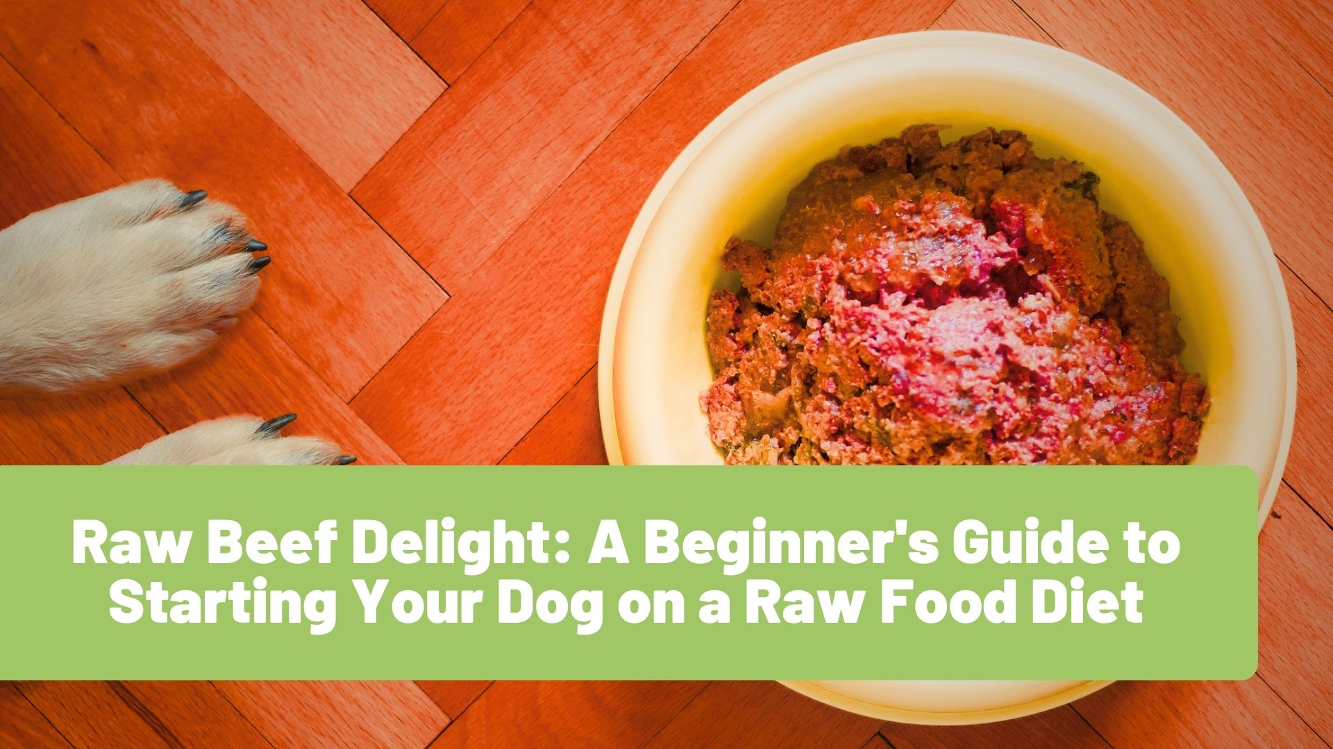 Raw Beef Delight: A Beginner's Guide to Starting Your Dog on a Raw Food Diet - RawOrigins.pet - The Raw Dog Food Company