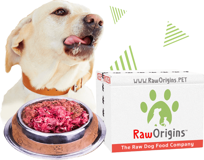 Raw dog food and hot sale company