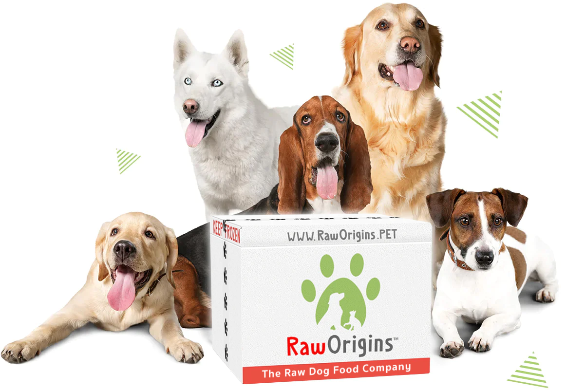 Easy raw clearance dog food company