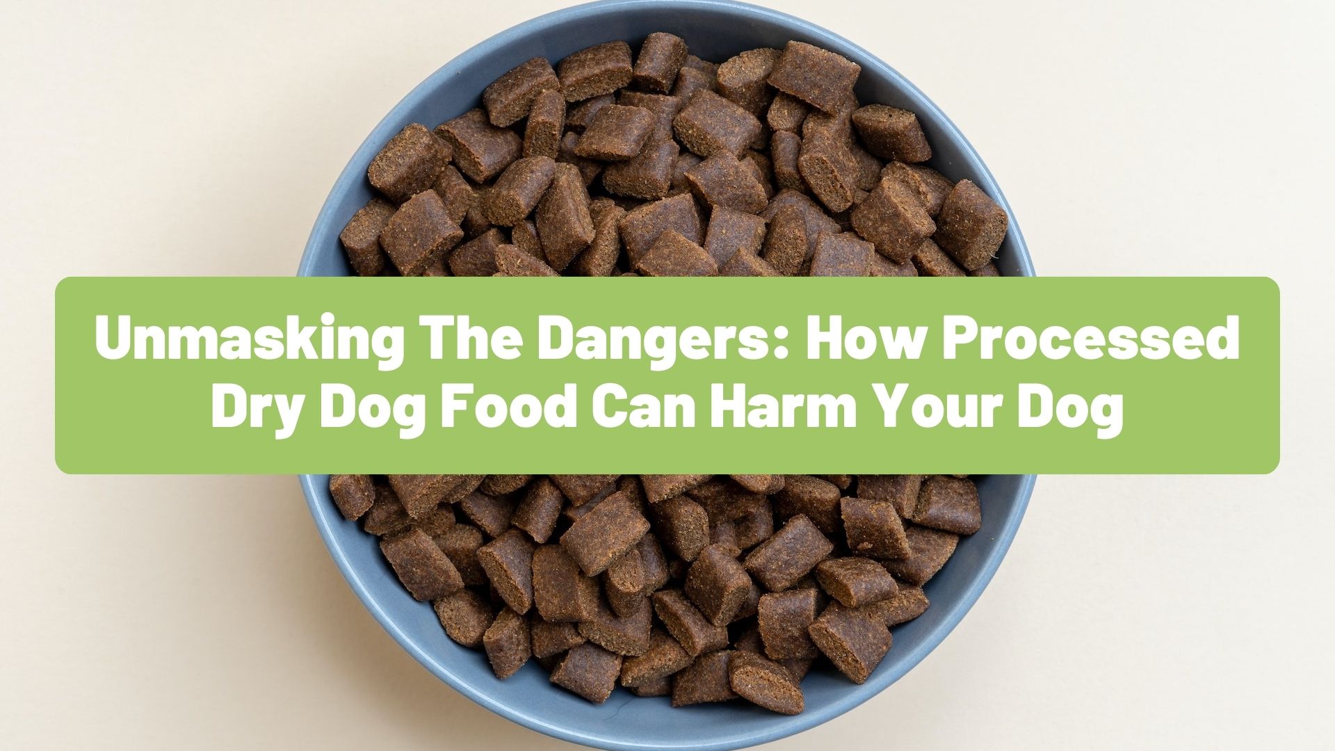 Unmasking The Dangers: How Processed Dry Dog Food Can Harm Your Dog - RawOrigins.Pet - The Raw Dog Food Company