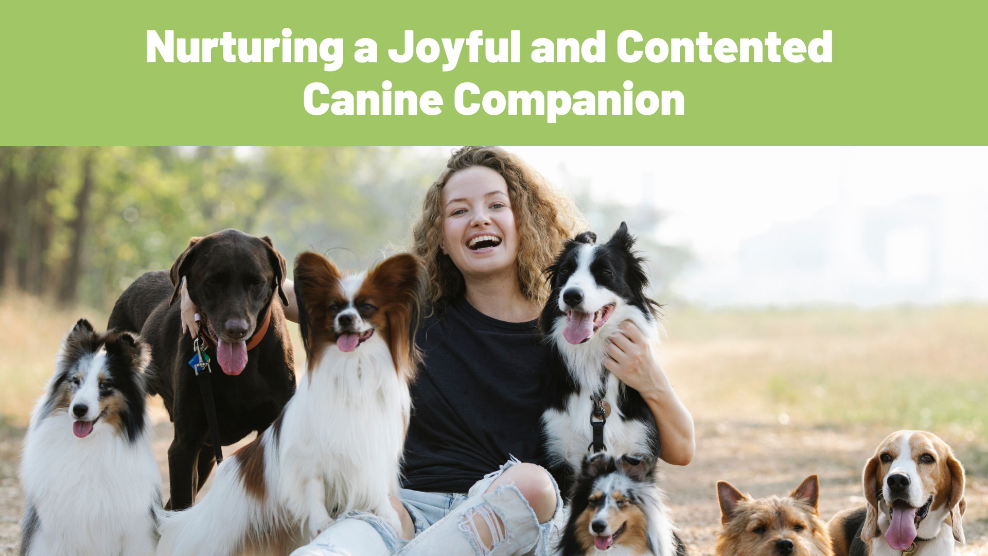 Pawsitively Thriving: Nurturing a Joyful and Contented Canine Companion - RawOrigins.pet - The Raw Dog Food Company