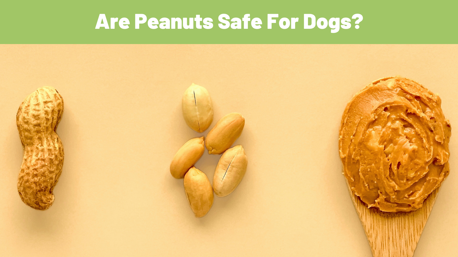 Are Peanuts Safe for Your Furry Friend? - RawOrigins.pet - The Raw Dog Food Company