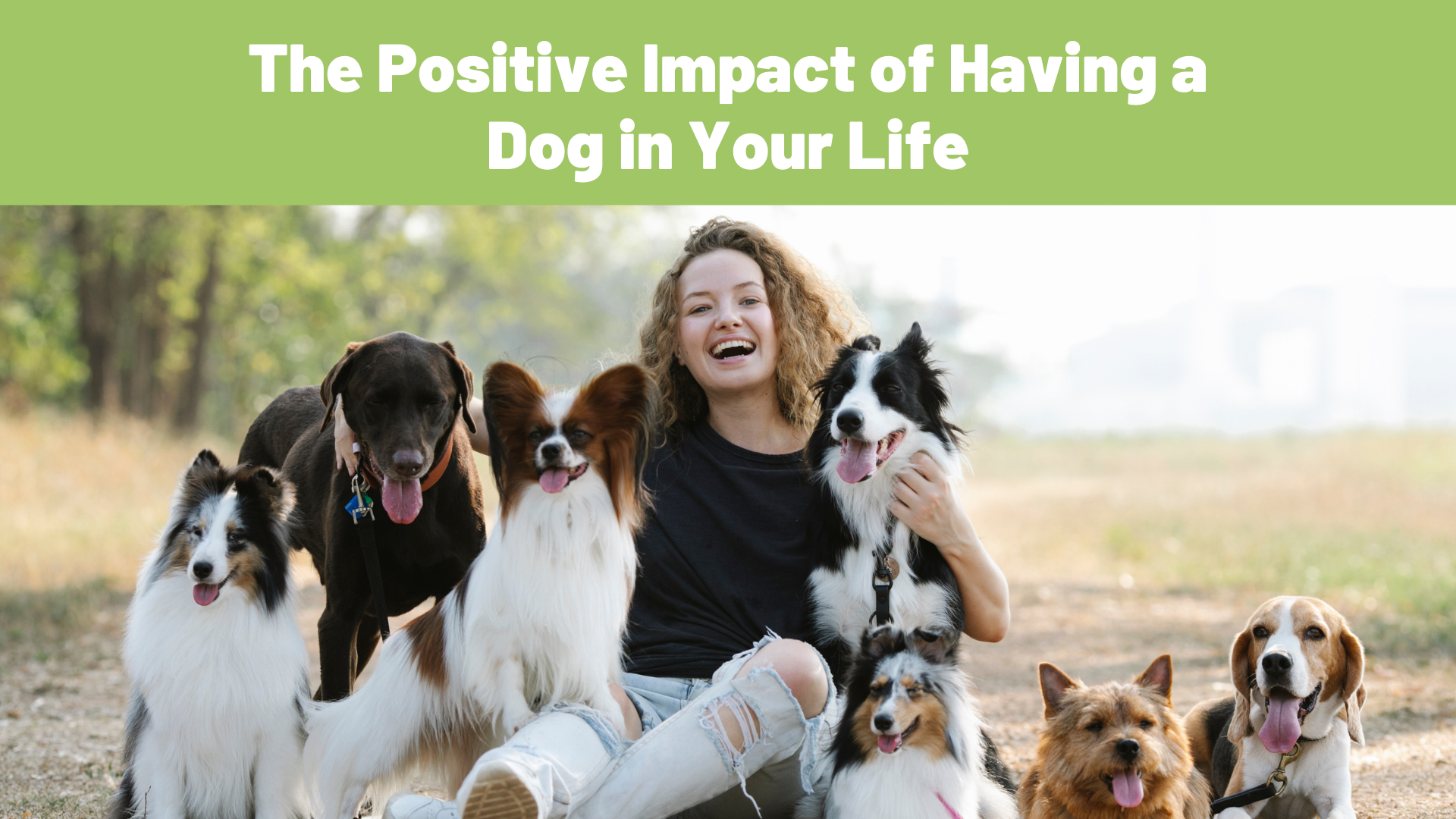 Furry Companions: The Positive Impact of Having a Dog in Your Life - Raw Origins - The Raw Dog Food Company