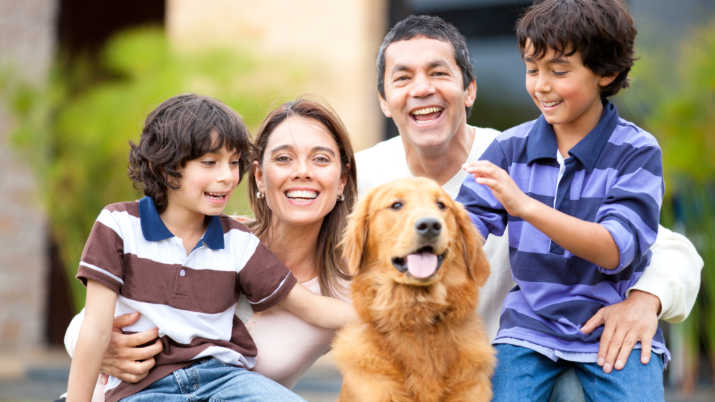 Harmony at Home: A Guide on Successfully Introducing a New Pet to Your Family - RawOrigins.pet - The Raw Dog Food Company