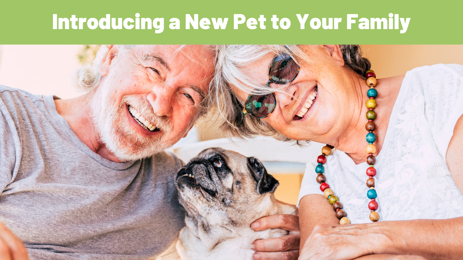 Harmony at Home: A Guide on Successfully Introducing a New Pet to Your Family - RawOrigins.pet - The Raw Dog Food Company