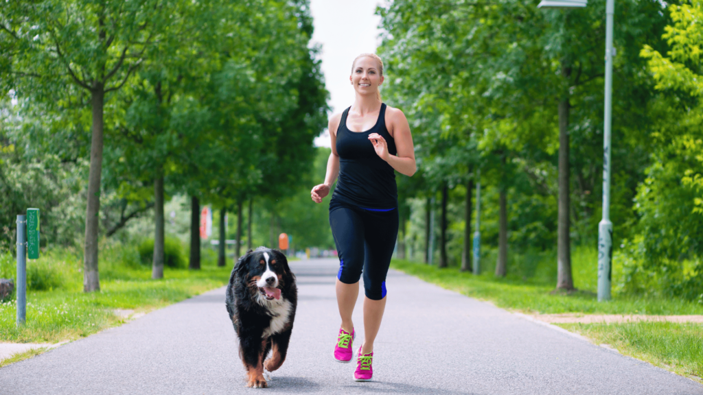 Tail Wags and Wellness: Keeping Your Dog Fit and Fine - RawOrigins.pet - The Raw Dog Food Company