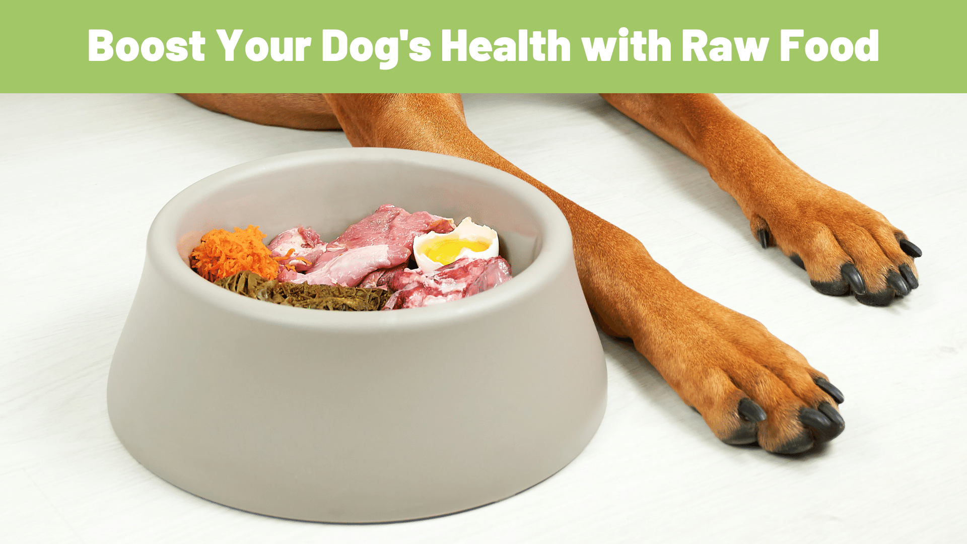 Shine Bright Like a Diamond: Boosting Your Dog's Health with Raw Food - RawOrigins.pet - The Raw Dog Food Company
